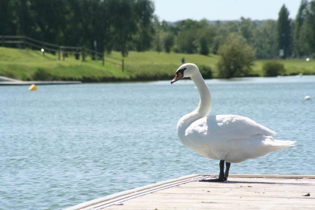 Ibis Budget Mantes-La-Jolie Dış mekan fotoğraf